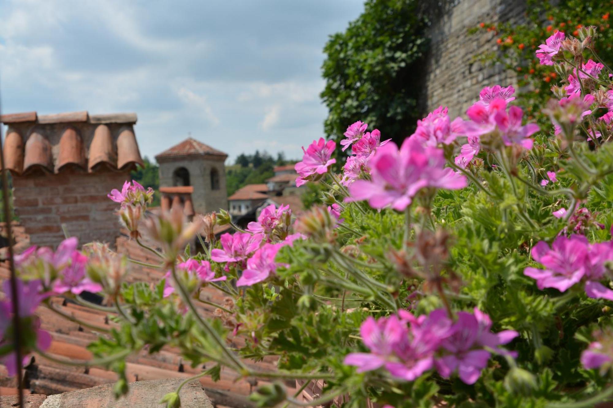 Dimora Storico Romantica Il Sole E La Luna Cerretto Langhe Exterior photo